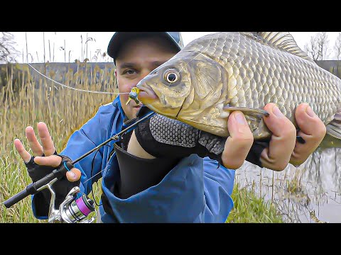 Видео: 7 ВИДІВ РИБ 🐟🐠🦈 для НАНО ДЖИГУ не МЕЖА!!!