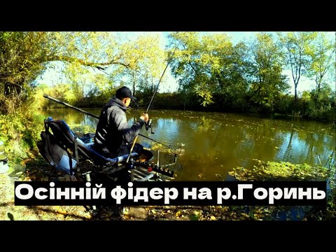 Видео: Рибалка на р. Горинь в жовтні 2022.
