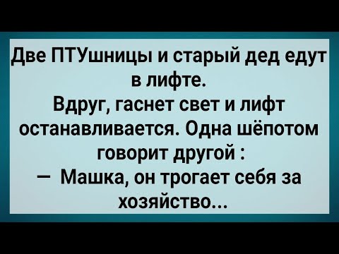Видео: Как Две ПТУшницы и Старый Дед в Лифте Застряли! Сборник Свежих Анекдотов! Юмор!