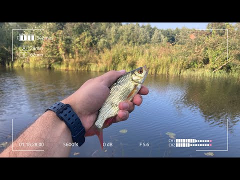 Видео: Безупречный мормышинг. Так ты поймаешь любую рыбу!