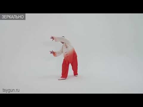 Видео: У Цинь Си. Игры пяти зверей. Виктор Стерликов. Международная методика