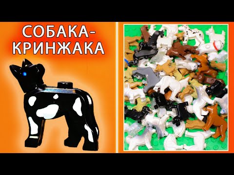 Видео: Что Она творит! Собака с AliExpress круче Лего Собак?