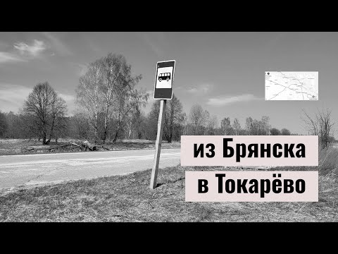 Видео: Токарёво, Томиловичи, Дятьковичи: брянская сельская жуть (Жуковский район)