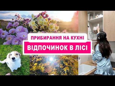 Видео: Прогулянка лісом🌲 і розмови під час прибирання 🏡 + вибираємо кавоварку☕