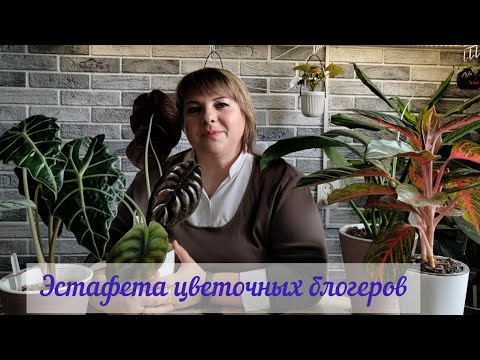 Видео: ЭСТАФЕТА ЦВЕТОЧНЫХ БЛОГЕРОВ