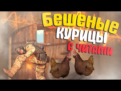 Видео: БЕШЕНЫЕ КУРИЦЫ С ЧИТАМИ В CS:GO (Троллинг, юмор, приколы, фейлы)