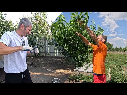 Видео: Ну как так-то, хотя у нас пополнение