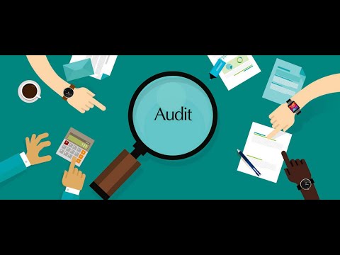 Видео: Внутренний аудит и система СВК (IAAP). Открытое занятие от 24 июня 2019 г.