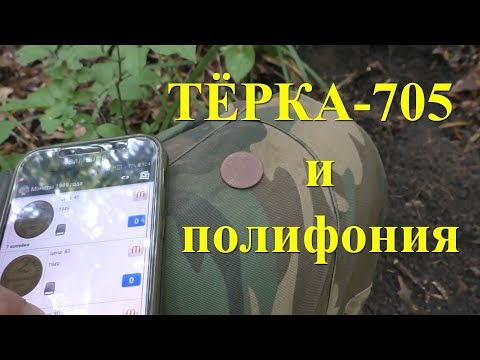 Видео: Поиск монет и артефактов с полифонией на Тёрке 705