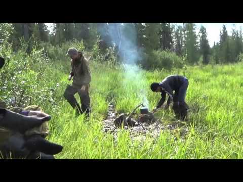 Видео: Ниректа, знакомство с ручьем