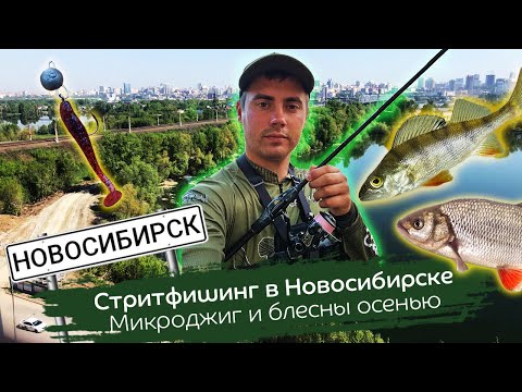 Видео: Со спиннингом в черте города / Микроджиг и блесны на карьере / Ультралайт в Сибири, какой он?