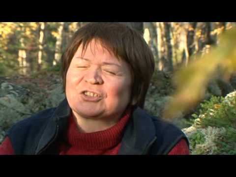 Видео: Саами Русская Лапландия