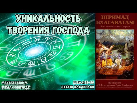 Видео: Уникальность творения Господа. Бхакта Владислав. ШБ.6.4.48–50