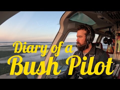 Видео: Дневник пилота Буша