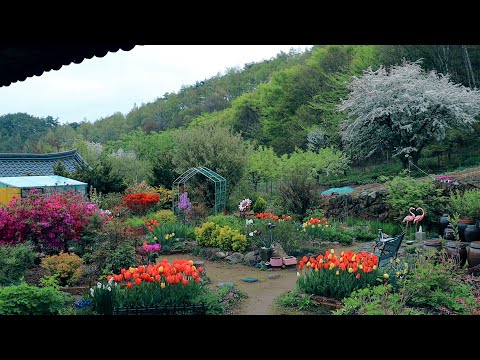 Видео: Загородная жизнь в апреле не может быть лучше, чем эта!!