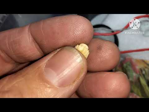 Видео: Кассетная дека Victor TD-V631