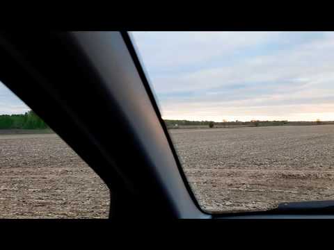 Видео: Роль цинку (Zn)для кукурудзи.