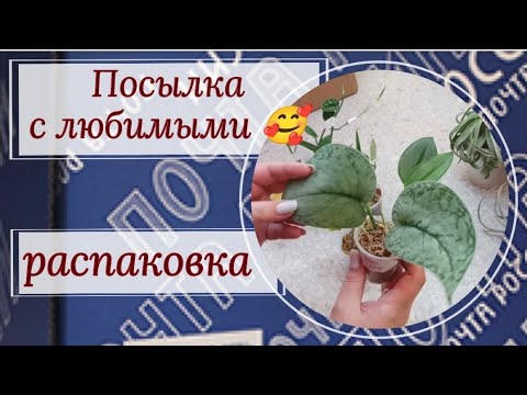 Видео: Посылка от Гали. Распаковка.🥰