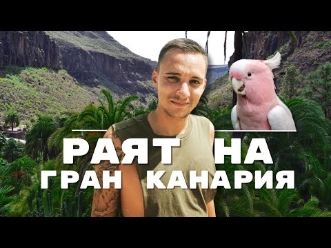 Видео: PALMITOS PARK - дельфины, животные, ботанический сад | Гран-Канария 🦜🐬🦩