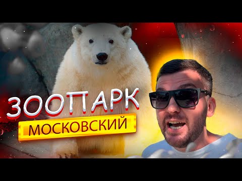 Видео: Московский ЗООПАРК! Новая Территория. Полный ОБЗОР! Развлечения в МОСКВЕ. Белый МЕДВЕДЬ, Лев, Жираф!