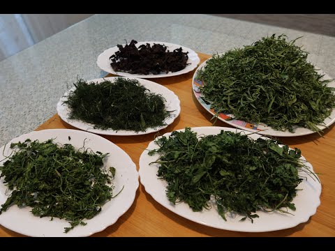 Видео: СУШКА ЗЕЛЕНИ БЫСТРО И ЛЕГКО за 4 минуты  //DRYING GREENS QUICKLY AND EASILY in 4 minutes//