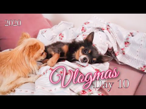 Видео: ❄️⛸ VLOGMAS 10 - Сплотяваме семейството 😁🙈