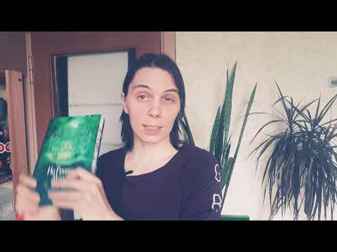 Видео: Книжный обзор: Сторм Фейривулф "На границе миров"