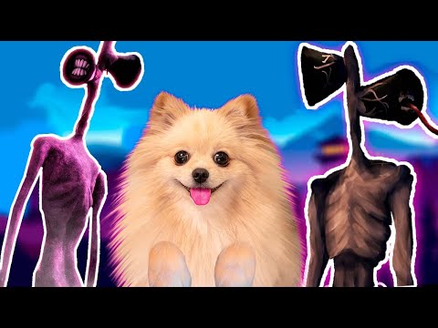 Видео: СИРЕНОГОЛОВЫЙ И ХАГГИ ВАГГИ В РОБЛОКС | СТРОЮ ДОМИК В РОБЛОКС | ROBLOX