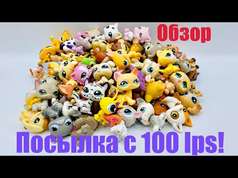 Видео: LPS: ПОСЫЛКА С 100 LPS! 🔥 (Обзор #1)