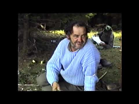 Видео: Комшије попалили и побили