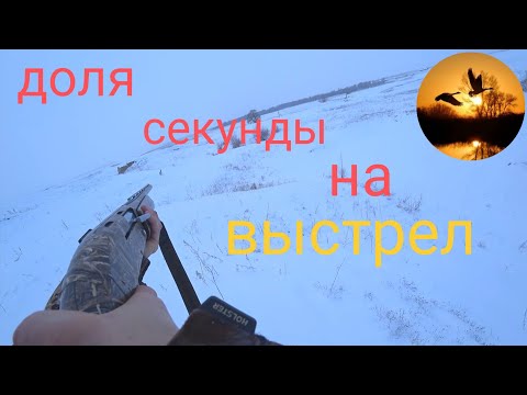 Видео: ОХОТА НА ЗАЙЦА