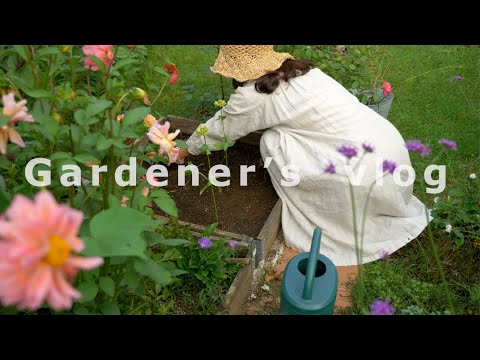 Видео: # 51Садоводство - это магия времени.Все,что мне нужно сделать, это просто ждать1000-летний бонсай йу