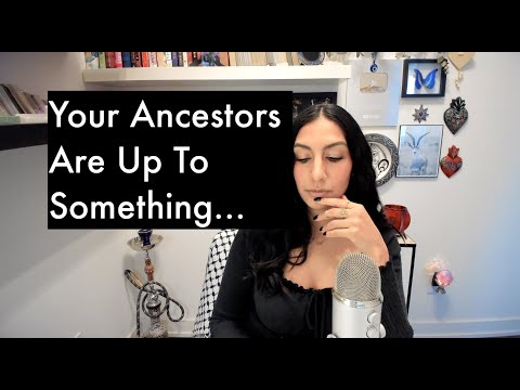 Видео: Козерог: этот человек продолжает попытки, пока ваша трансформация открывает благоприятное окно: н...