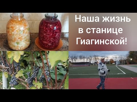 Видео: Наша жизнь в Адыгее/Посолила капусту/Сад еще зеленый/Оздоровительная ходьба на стадионе