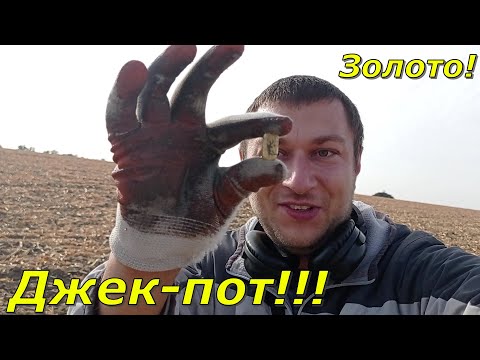 Видео: Знайшов великий шматок золота, де сам не очікував.  За цю знахідку можна купити авто.