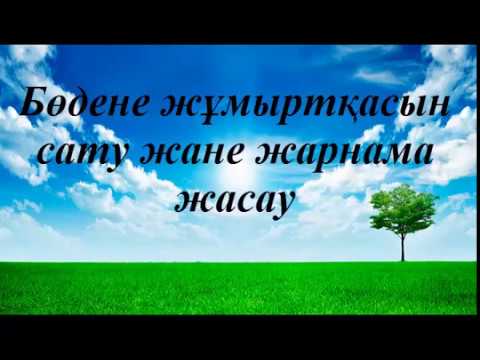 Видео: Бодене жұмыртқасын сату және жарнама жасау.