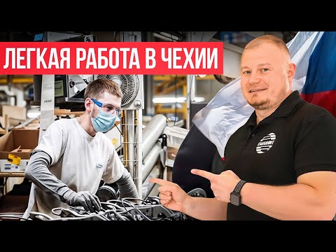 Видео: Как устроиться на работу в Чехию в 2024? Новые вакансии