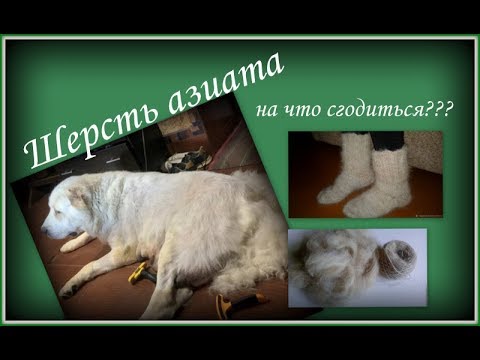 Видео: Пояс из собачьей шерсти.