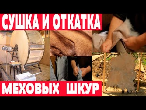Видео: Сушка и отделка меховых шкур. Откатка шкур в барабане. mp4
