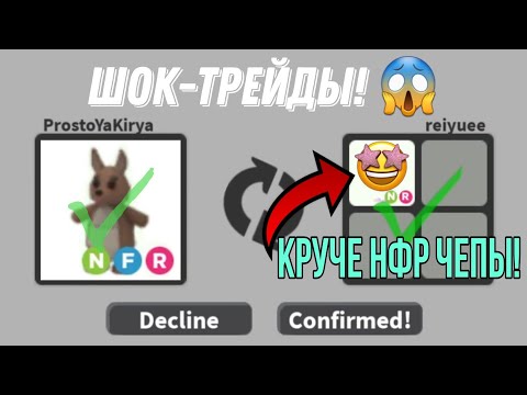 Видео: ЗАТРЕЙДИЛ НФР КЕНГУРУ И АФИГЕЛ! Что дают за НФР КЕНГУРУ в Роблокс Адопт ми? ТОП-ТРЕЙДЫ! 🤯