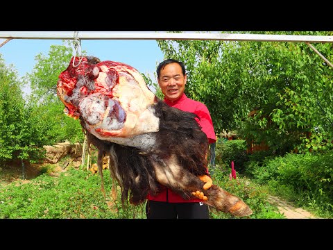 Видео: Целая ножка яка, приготовленная на гриле в течение дня. Жевательная снаружи, но нежная внутри!