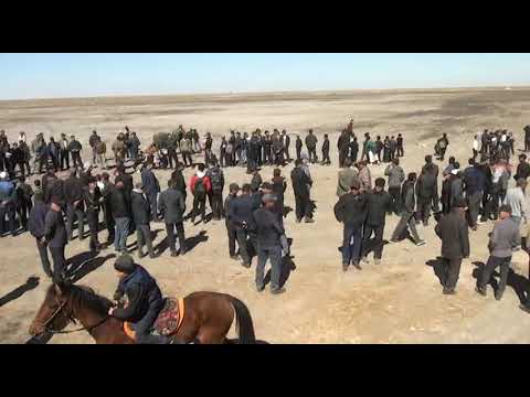 Видео: Раушан АПЖ наурыз той 2023 жыл