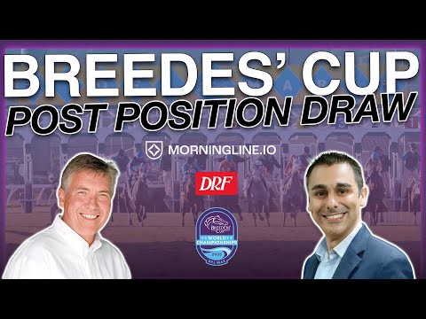 Видео: Анализ жеребьёвки после Кубка заводчиков Classic 2025