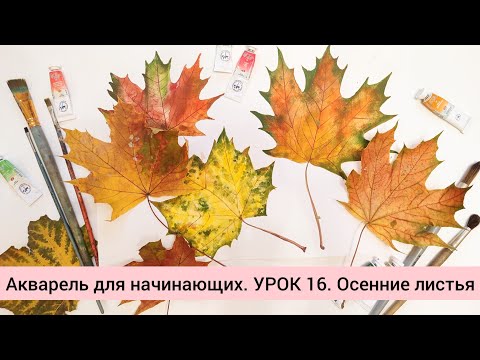 Видео: Акварель для начинающих. УРОК 16. Осенние листья