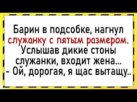 Видео: Как жена барина со служанкой застукала! Сборник свежих анекдотов! Юмор!