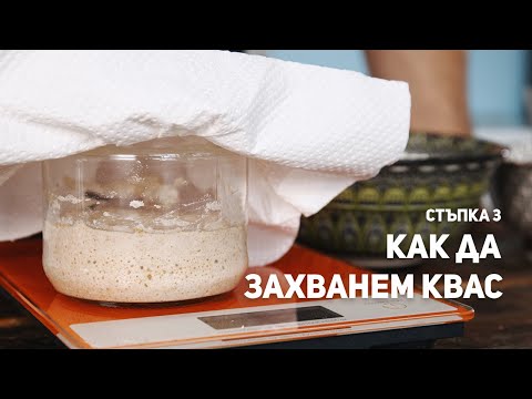 Видео: Как да захванем ДОМАШЕН КВАС? - Хранене 2