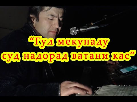 Видео: ШАВКАТ МАСТОНОВ -"Ватани кас" Туёна Shavkat Mastonov #гариби #tajikistan #мусофир#panjakent