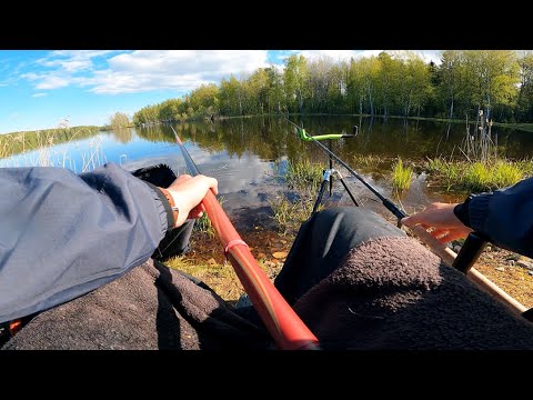 Видео: ЛОВЛЮ на ДВЕ удочки СРАЗУ! Фидерные ЛАЙФАКИ от Колька! Рыбалка с комфортом и с ПАЛАТКОЙ