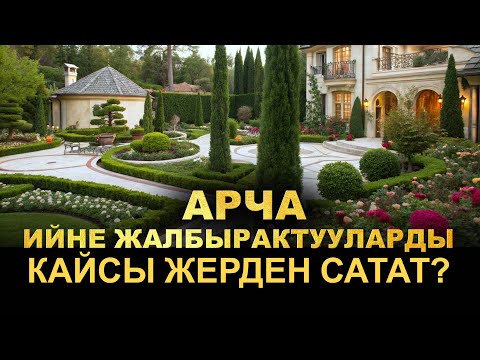 Видео: Короону жашыл , кооз жана ден-соолука пайда кылууну чакырабыз. Ийне жалбырактуулар