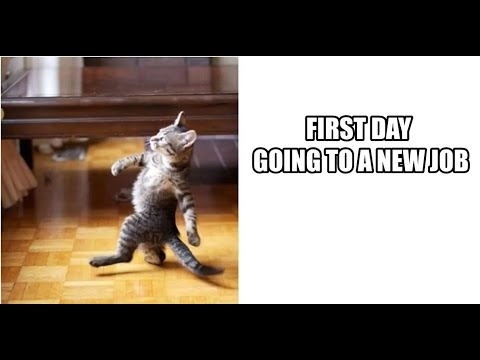 Видео: Перша робота в ІТ | Junior DevOps з НУЛЯ | Поради початківцям в ІТ | Менторство в ІТ для бажаючих